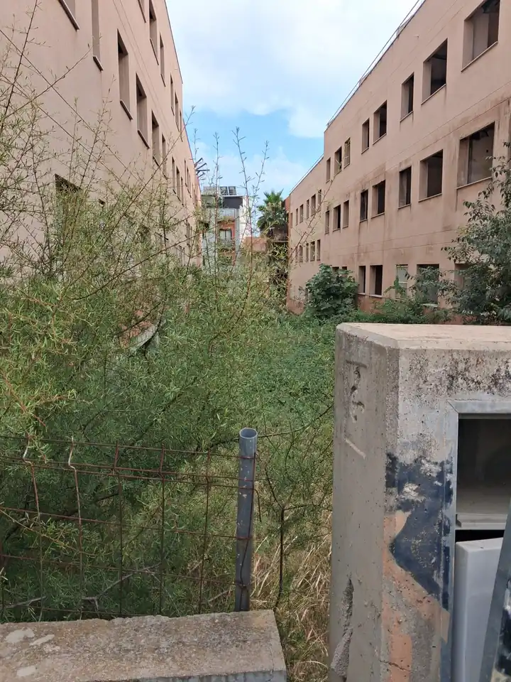 Patio interior